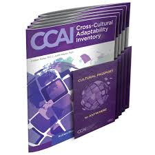 CCAI assignment readiness CCAI Assignment readiness assessment