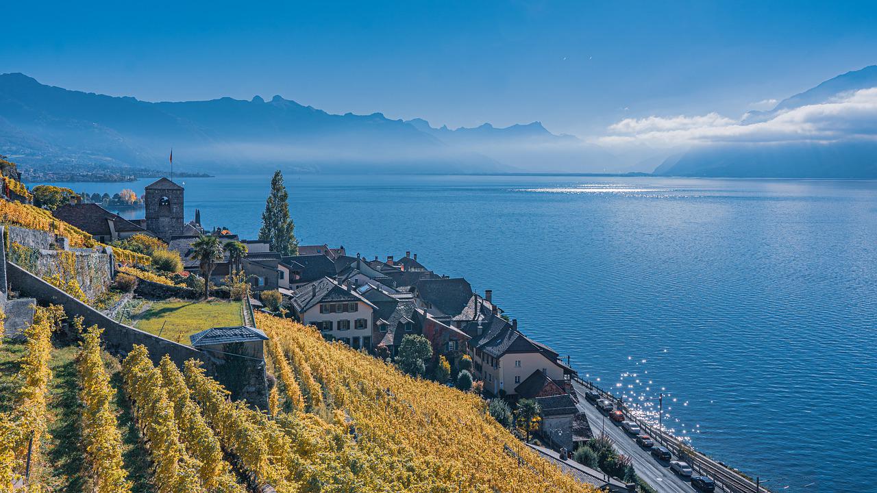 Swiss citizenship preparation Swiss citizenship preparation